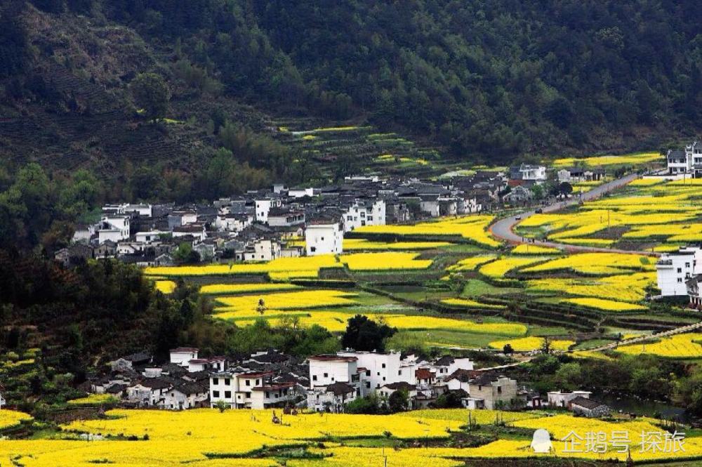 江西,绿色崛起与文化传承,砥砺前行新征程