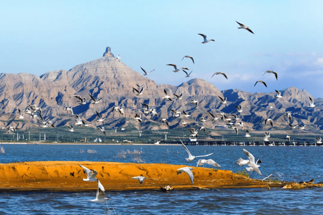 乌海日报，聚焦乌海发展动态