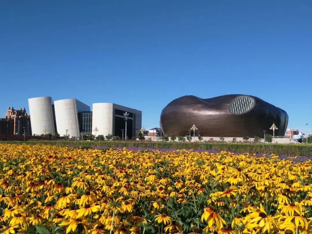 鄂尔多斯，神奇土地上的悠久文明之光