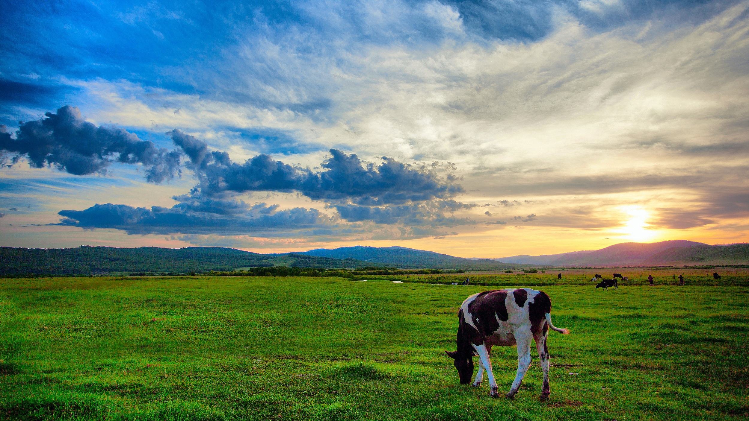 呼伦贝尔智能生活启航，前沿科技引领未来家居体验