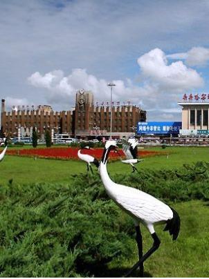 齐齐哈尔，鹤舞长空，美景尽收眼底